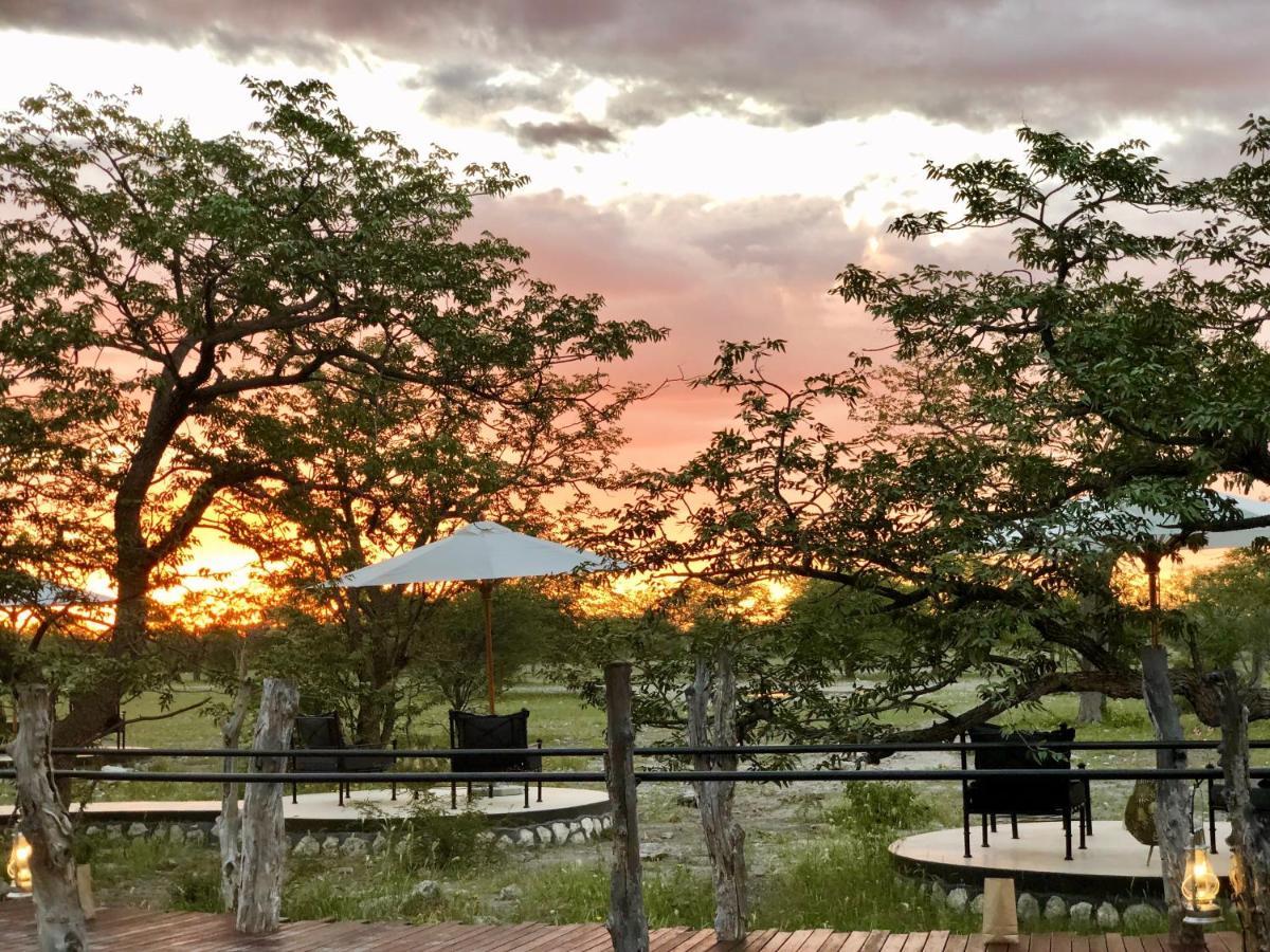 Etosha Oberland Lodge أوكاوكويجو المظهر الخارجي الصورة