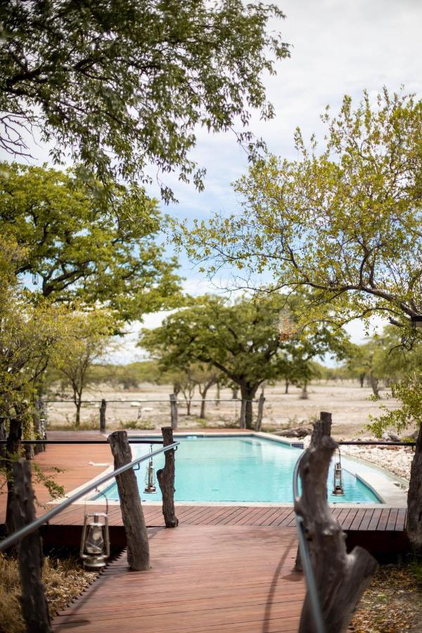Etosha Oberland Lodge أوكاوكويجو المظهر الخارجي الصورة